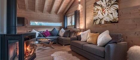 Télévision, cheminée, chaîne hi-fi