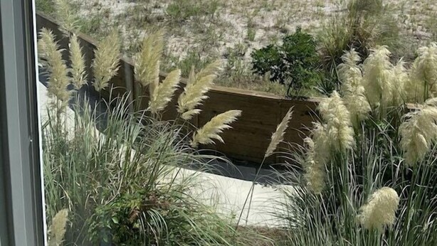 A beach view with sand, sparse vegetation, and a wooden structure.