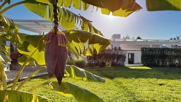 Área da propriedade