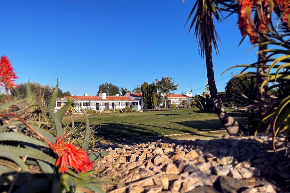 Large Stylish House 5 minutes from Zambujeira do Mar - House 2