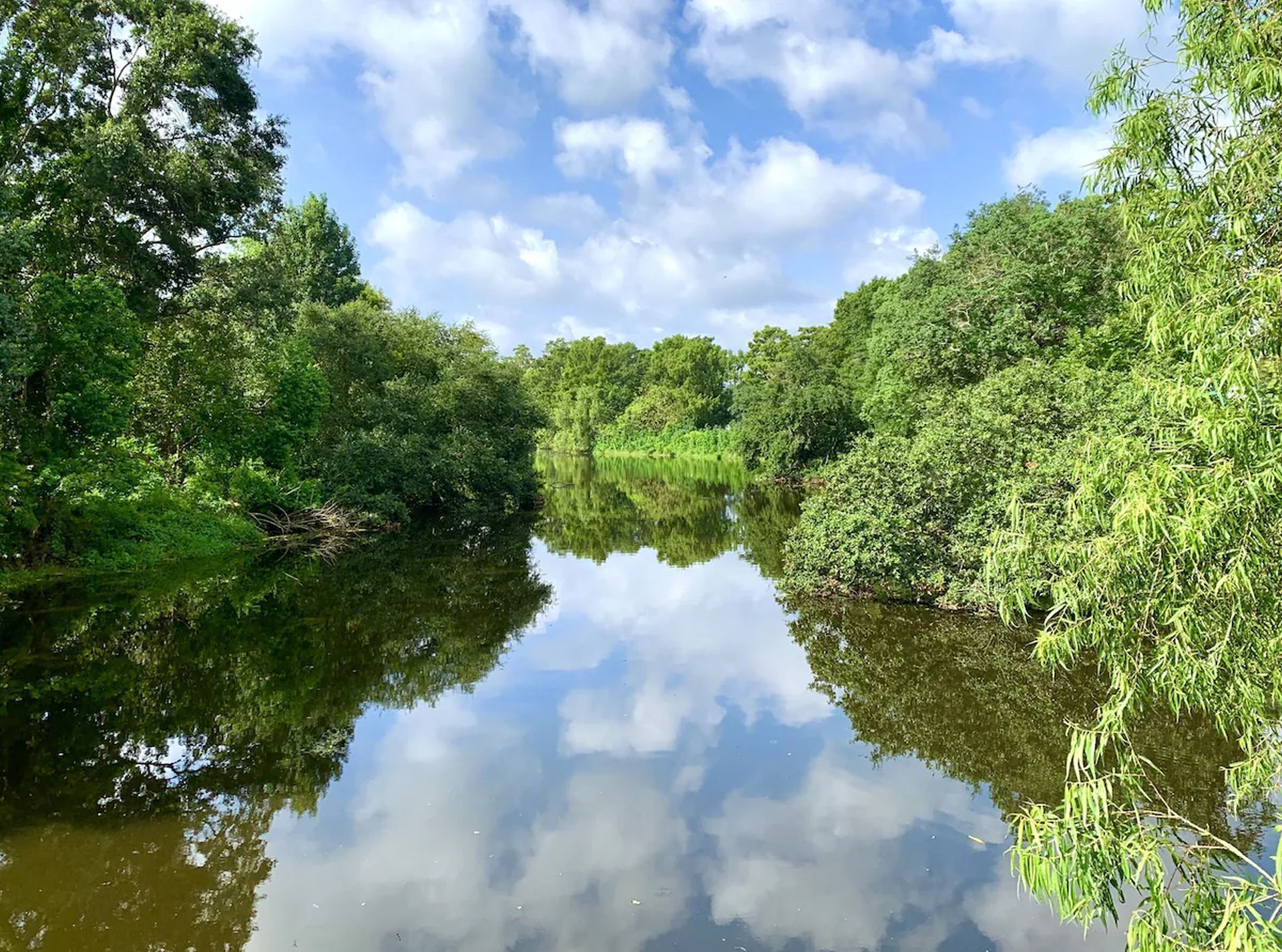 A calm river flanked by dense greenery and trees reflecting in the water.
