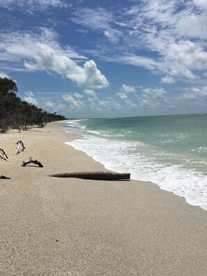 Playa en los alrededores, camastros y toallas de playa 