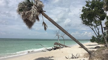 靠近海滩、沙滩椅、沙滩毛巾