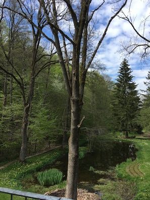 A serene park with a pond, surrounded by trees and a clear sky.