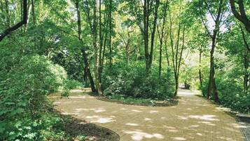 Terrain de l’hébergement