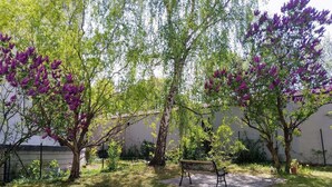 A park with benches and flowering trees. - Great value in Prenzlauer Berg, free parking (Berlin)