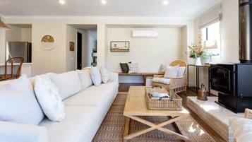 電視、壁爐、DVD 播放機、書籍