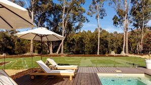 Une terrasse en bois avec des chaises longues et une piscine, entourée d’arbres et d’une pelouse bien entretenue.