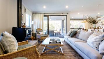 TV, fireplace, DVD player, books