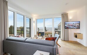 Smart-TV, Kamin