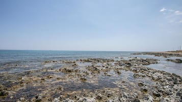 Beach nearby, fishing