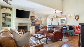 Smart TV, fireplace, DVD player, books