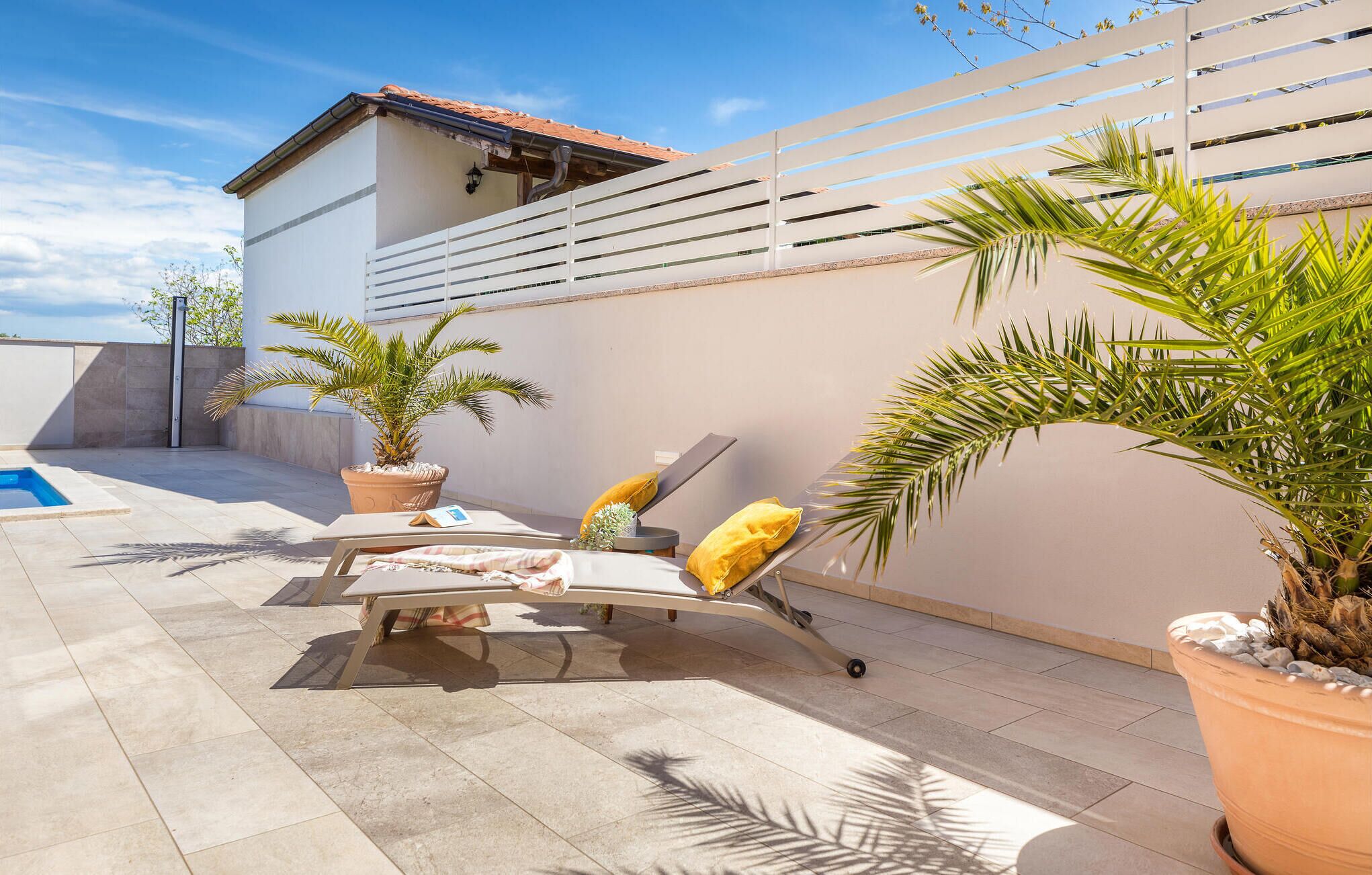 Terraza en la azotea con piscina, sillones de descanso y plantas en macetas.