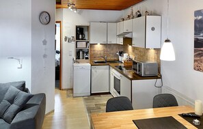 Kühlschrank, Mikrowelle, Herdplatte, Geschirrspüler