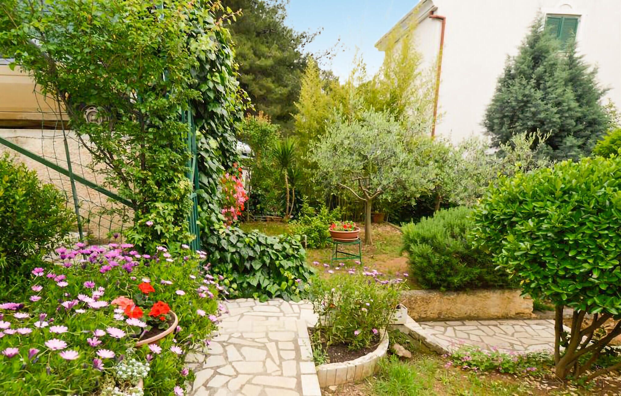 A garden with various plants and flowers, stone pathways, and a small tree.