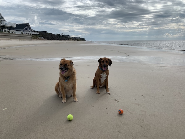 Beach nearby - Dog-friendly 3 bdrm single family home fenced yard. Cape May Area Fios internet (Villas)