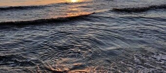 Dog-friendly 3 bdrm single family home fenced yard. Cape May Area Fios internet 