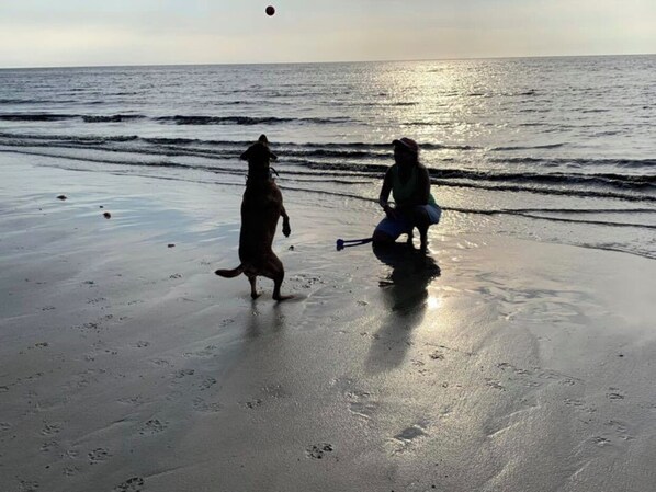 Beach nearby