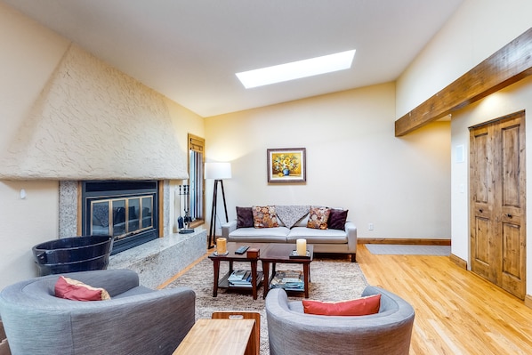 TV, fireplace, video games, DVD player