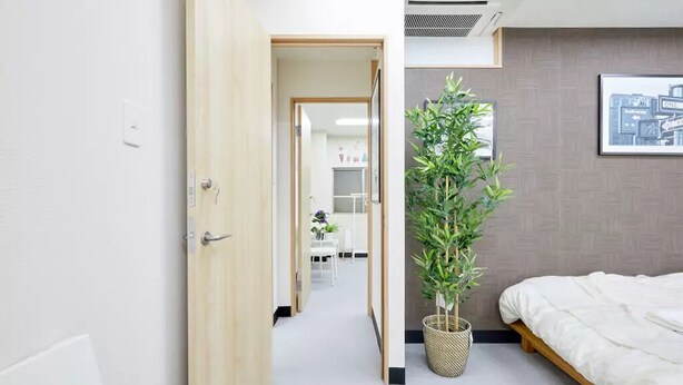 A modern hotel room with a bed, a potted plant, and a hallway leading to a bathroom. - TORA HOTEL Taito B (Tokyo)