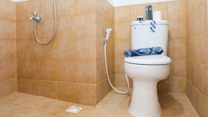 Baño con ducha, inodoro y toallero.