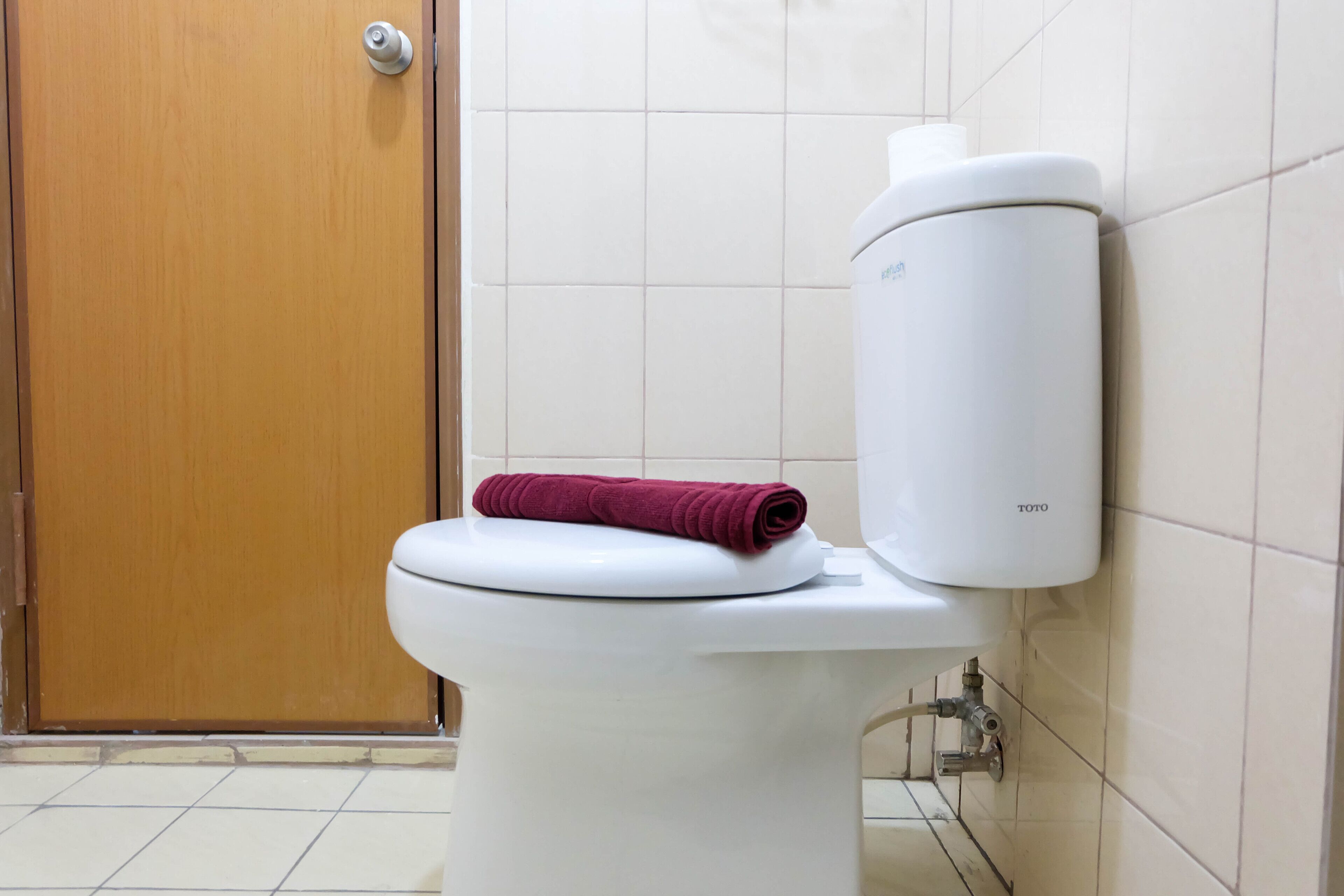 Sanitário branco com caixa TOTO, porta de madeira e chão em azulejos.