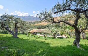 Property grounds - 3 bedroom amazing home in Trabia (Trabia)