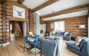 TV, fireplace, DVD player