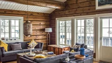 Fireplace, DVD player