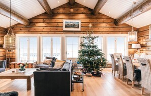 Fireplace, DVD player