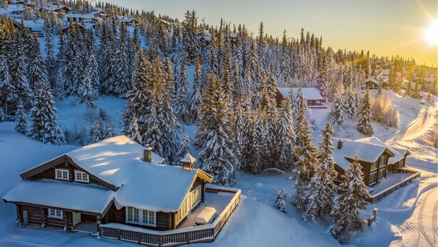 Un chalet enneigé, doté de plusieurs cabanes, entouré d’une forêt dense de conifères.