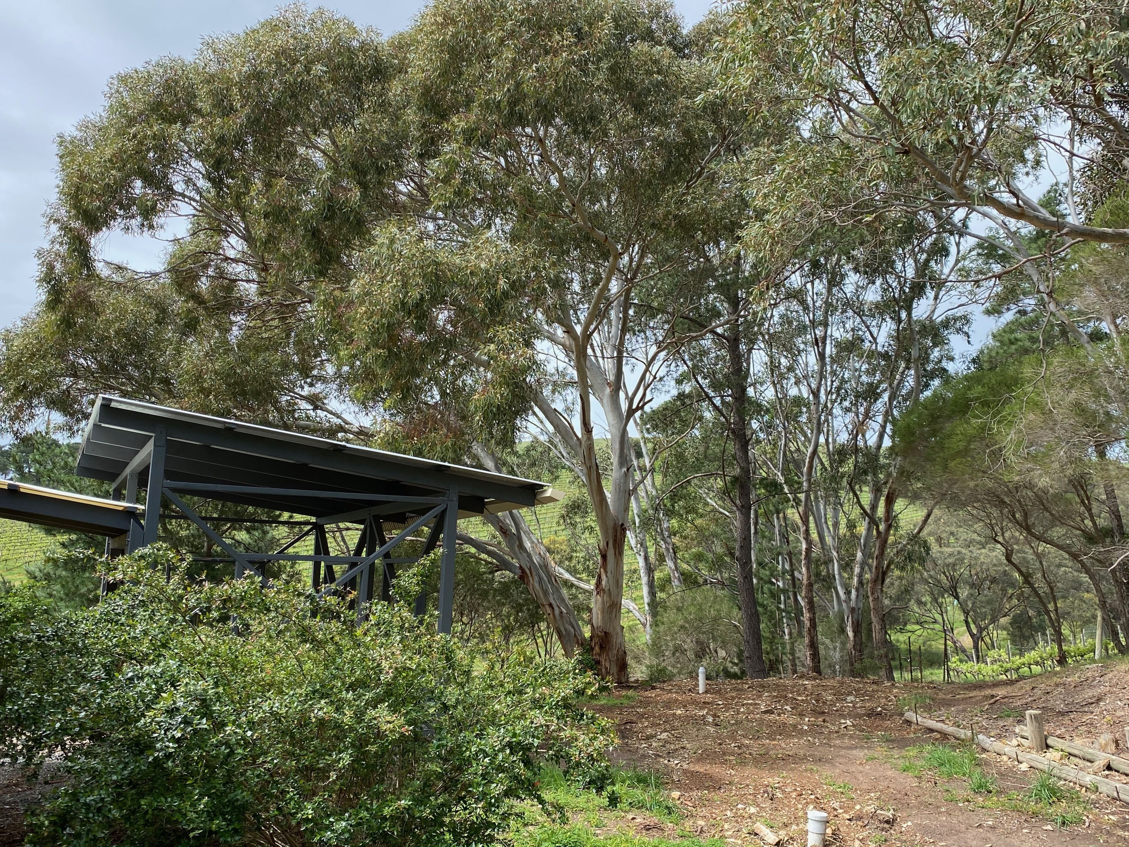 Casa Angustum - Secluded retreat ! Unlimited Wifi  — image 22