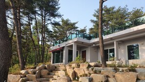 Une maison moderne avec un escalier en pierre menant à un balcon, le tout entouré d’arbres.