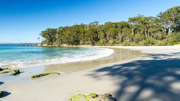 A beach with clear water, sandy shore, and dense green trees in the background. - Bay Breeze at Blenheim Beach, Vincentia (Vincentia)