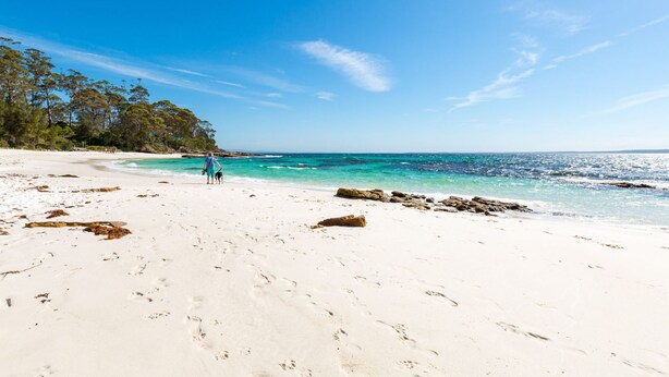 A sandy beach with footprints leading to the water, a person walking a dog, and a clear blue sky. - Bimbadgen at Hyams Beach (HYAMS BEACH)