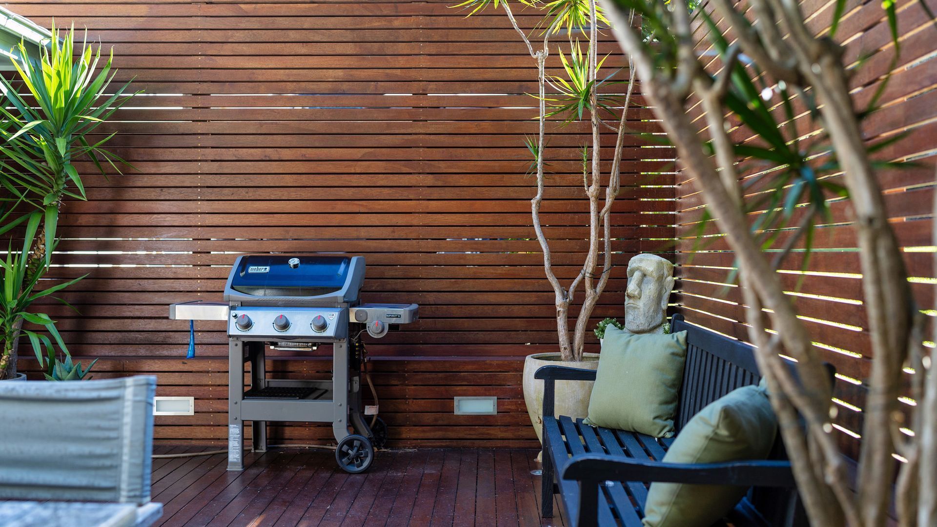 Birdsong at Hyams Beach — image 8