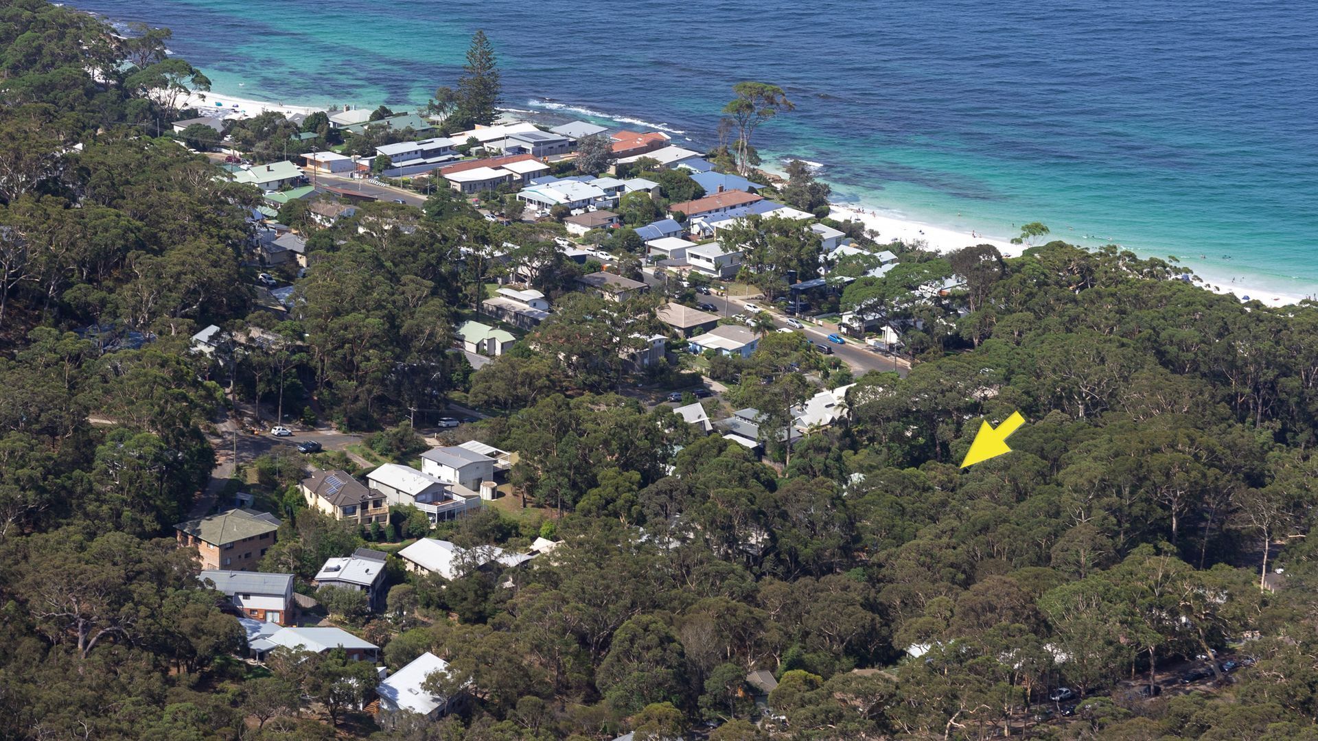 Birdsong at Hyams Beach — image 2