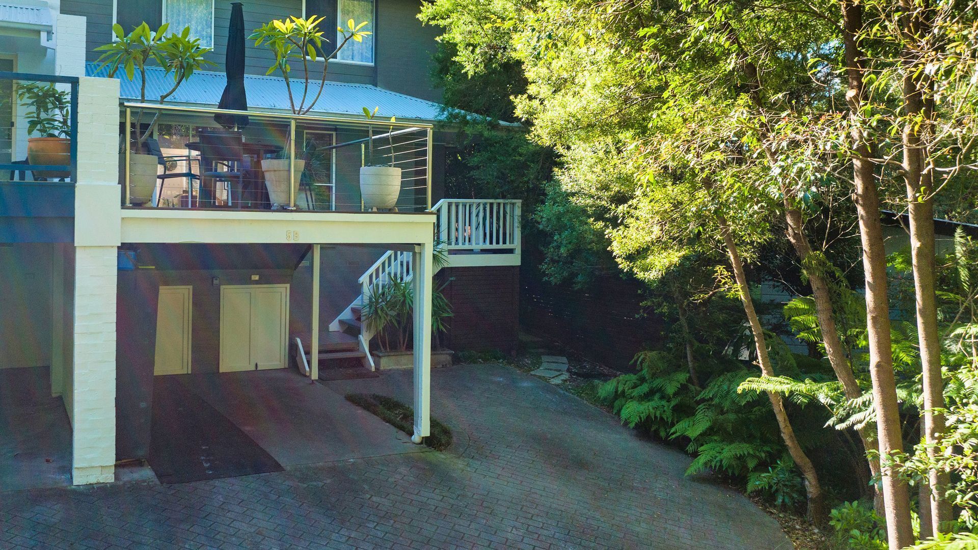 Birdsong at Hyams Beach — image 23