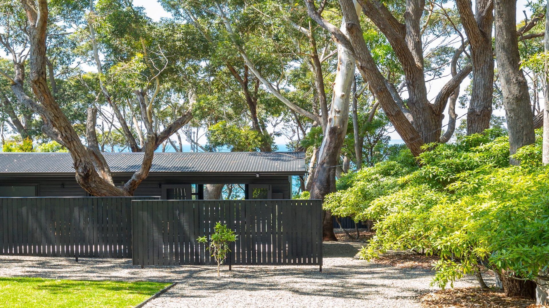 Black Shack on Hyams Beach — image 16