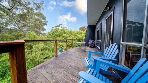 Bush Baby at Blenheim Beach, Vincentia