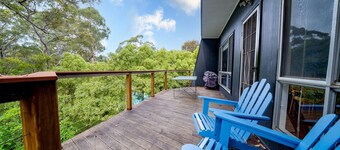 Bush Baby at Blenheim Beach, Vincentia