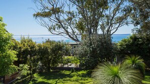 A lush garden with a large tree and a view of the sea. - Calypso's Cottage at Hyams Beach (Hyams Beach)
