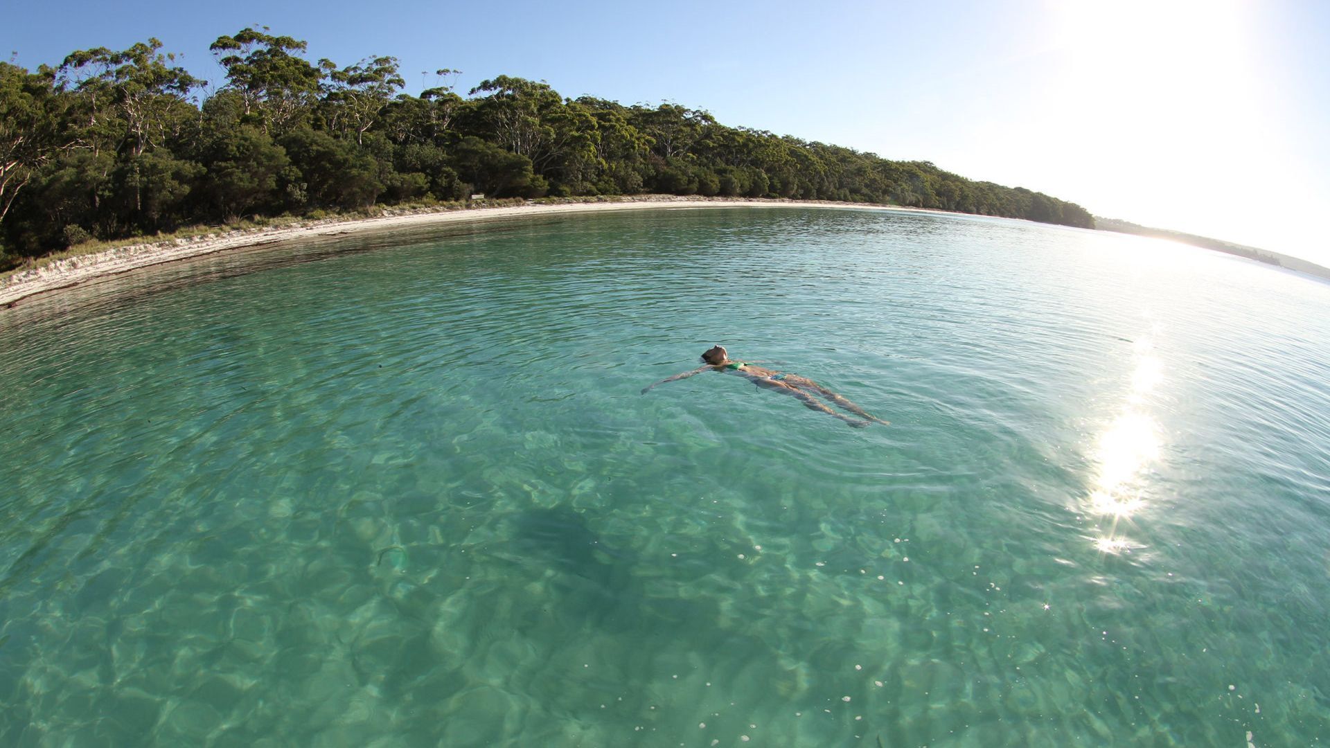 Cottage 5 - Hyams Beach Seaside Cottages — image 17