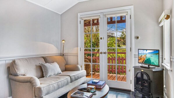 Téléviseur, Netflix, services de diffusion en continu