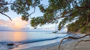 A beach with calm waters, a sandy shore, and trees framing the view.