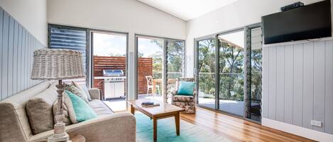 TV, fireplace, Netflix, streaming services