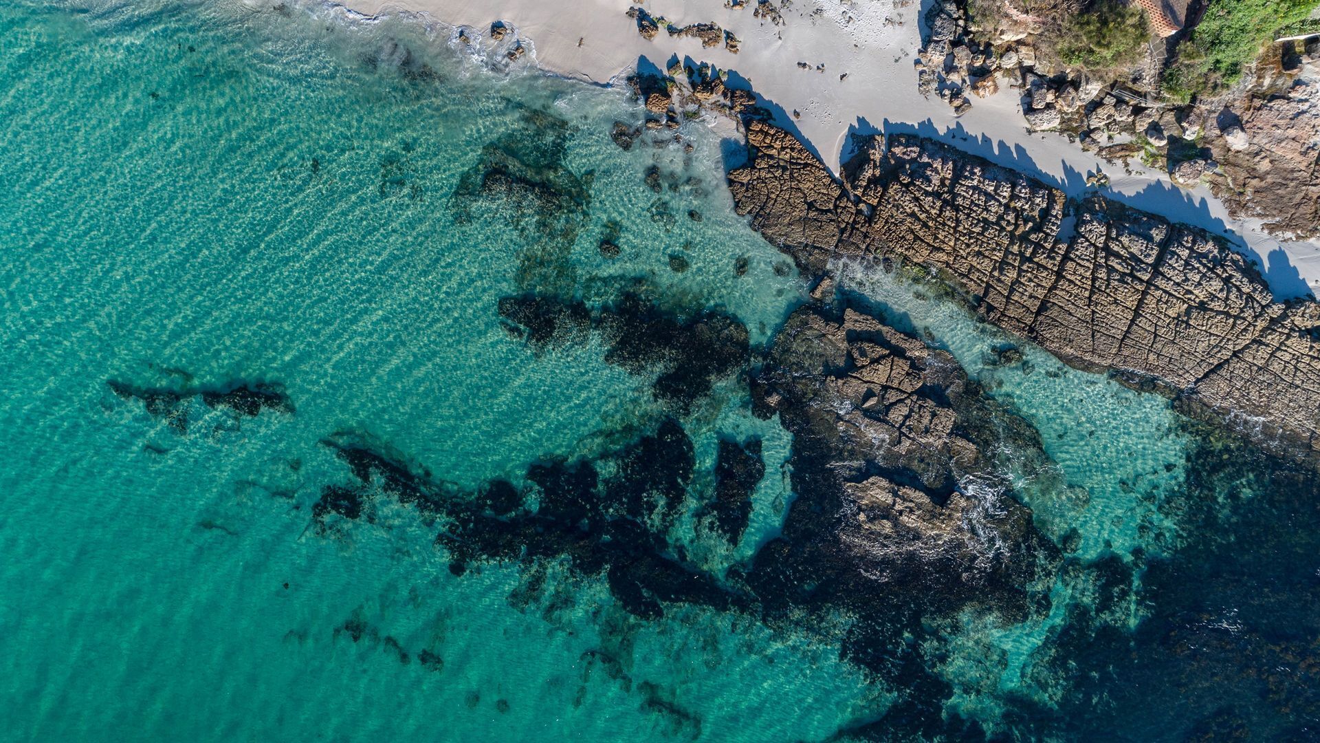 Mermaid Cottage at Hyams Beach — image 4