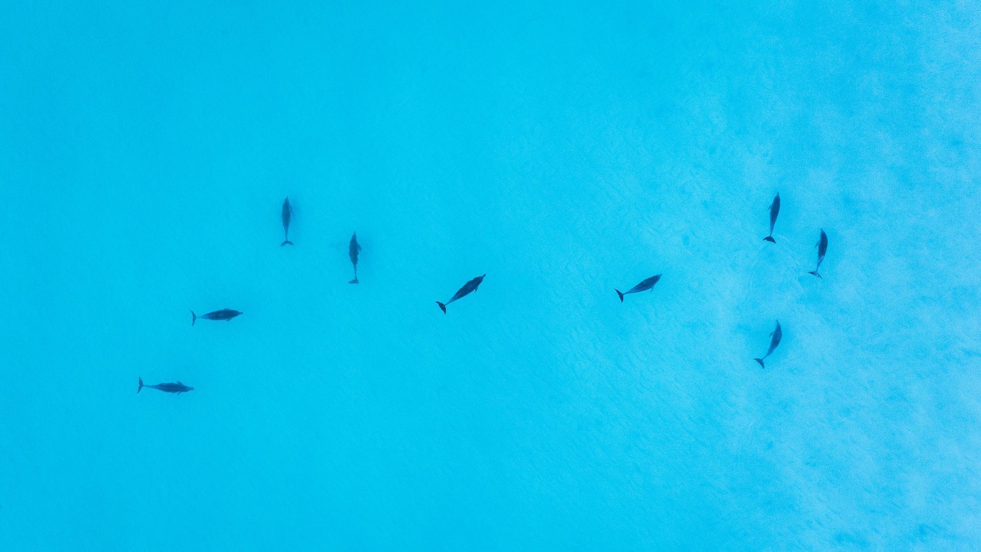 Mermaid Cottage at Hyams Beach — image 8