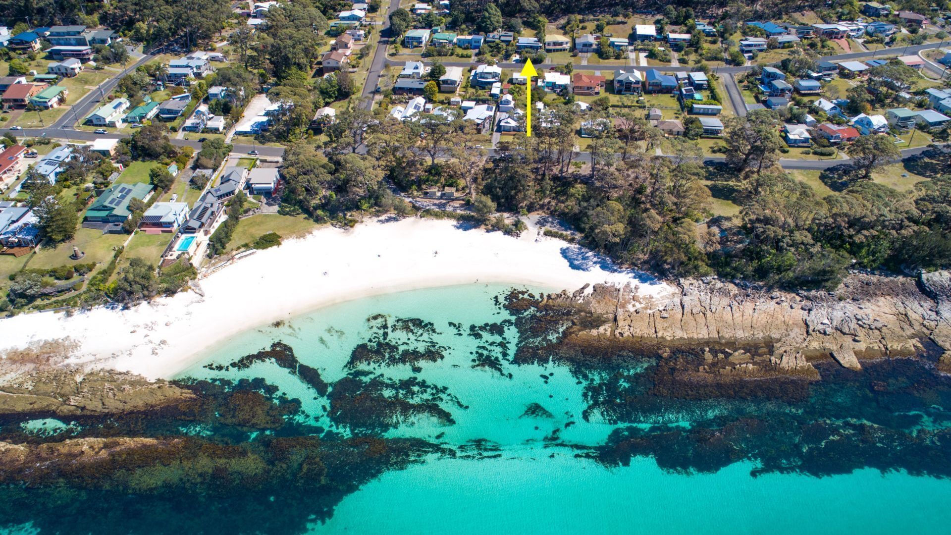 Palmwood at Hyams Beach — image 20