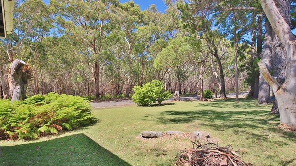 Stroll through the lush garden, surrounded by eucalyptus trees and a serene atmosphere.